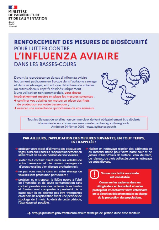 affiche grippe aviaire