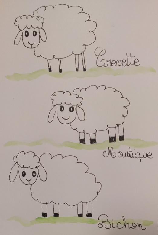 Dessin moutons