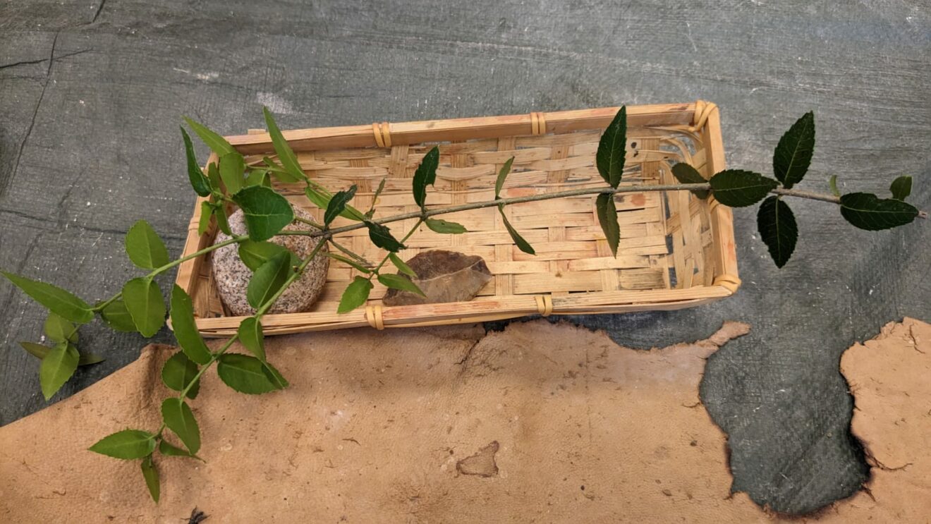 Classe Découverte Préhistorique